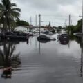 Miami Looks ‘Like A Zombie Movie’ – Videos from The Weather Channel – The Weather Channel