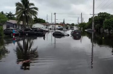 Miami Looks ‘Like A Zombie Movie’ – Videos from The Weather Channel – The Weather Channel