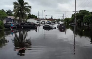 Miami Looks ‘Like A Zombie Movie’ – Videos from The Weather Channel – The Weather Channel