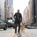 Will Smith reveals how I Am Legend sequel was based on the original zombie horror’s …