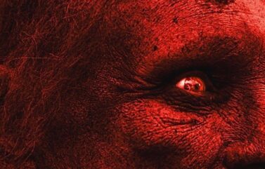 One of The Best Zombie Movies Is In Theaters Now (And You Probably Haven’t Heard Of It)