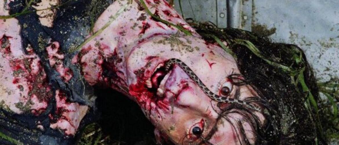 Reddit Hand-Picks 6 Horror Movies That Are as Unpredictable as They Are Scary (No Spoilers!)