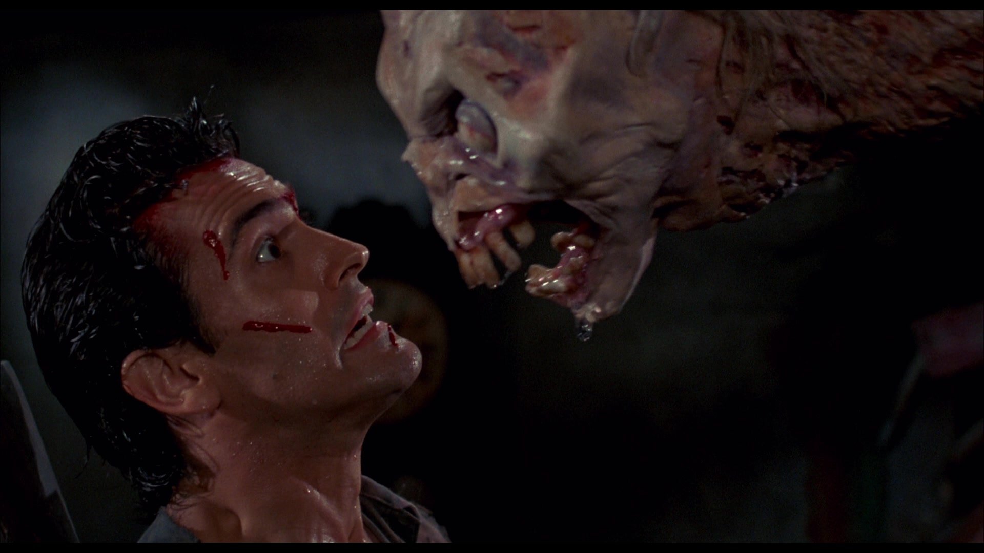 - Zombie Gaming Dead by dawn