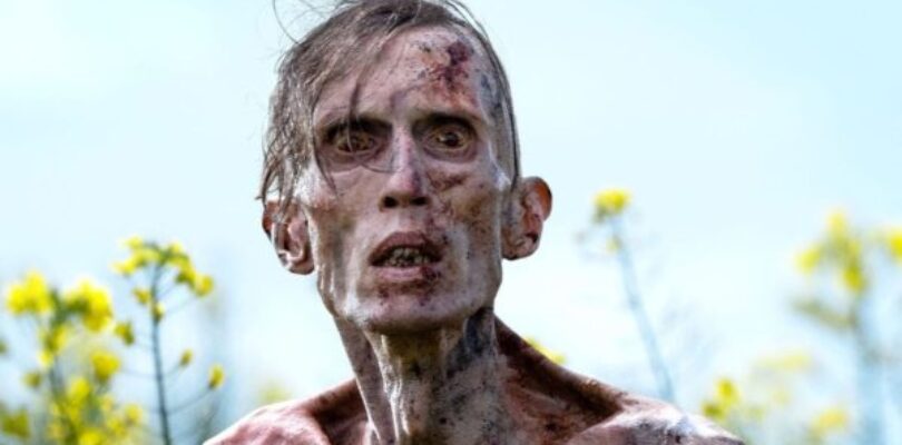 Horror sequel 28 Years Later unveils new posters – Flickering Myth