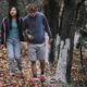 Bring Her Back review: This is a horror movie you’ll only watch once – ABC News