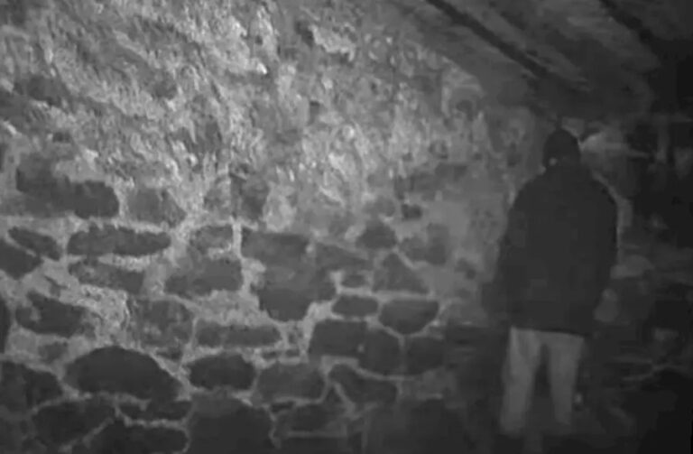 - Zombie Gaming Blair Witch basement