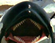 ‘Deep Blue Sea’ Dir. Renny Harlin To Make Killer Whale Horror Film – iHorror