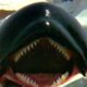 ‘Deep Blue Sea’ Dir. Renny Harlin To Make Killer Whale Horror Film – iHorror