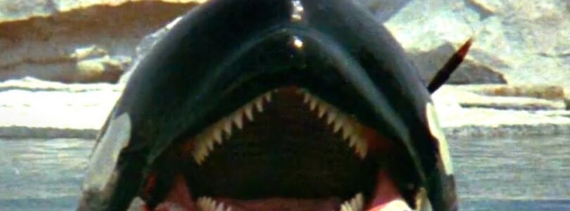 ‘Deep Blue Sea’ Dir. Renny Harlin To Make Killer Whale Horror Film – iHorror