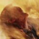 A24 Screened ‘Bring Her Back’ for Moms in Honor of Mother’s Day – Bloody Disgusting