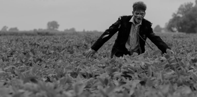 Spoiler-Free Reviews: THE BLACK HOLE, VAMPIRE ZOMBIES . . . FROM SPACE! and …