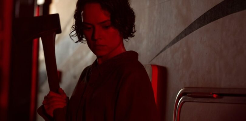 Zombie Thriller ‘We Bury the Dead’ Starring Daisy Ridley Acquired by Vertical