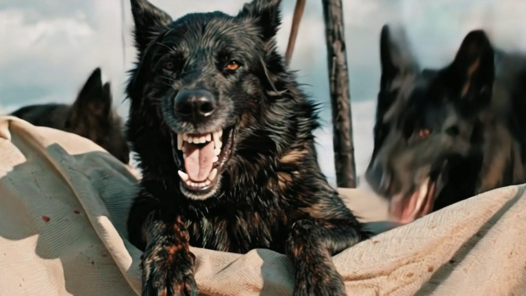 - Zombie Gaming A black dog barking in A Breed Apart (2025)
