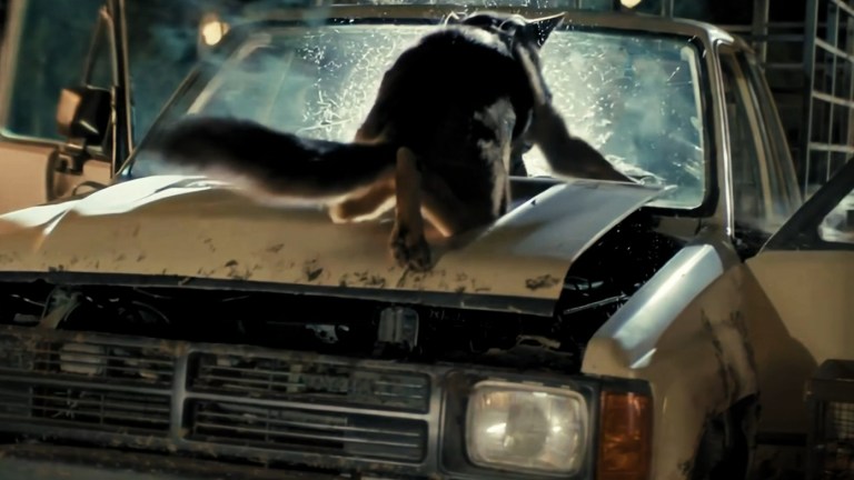 - Zombie Gaming A dog on the hood of a truck in A Breed Apart (2025).