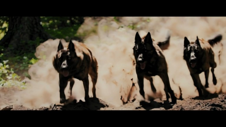 iogfq2CHgJTbVfayNYirsi-970-80jpg - Zombie Gaming A Breed Apart (2025)