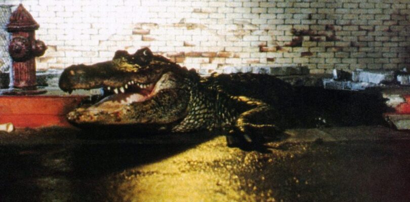 Morris the Movie Star: The Legendary Alligator from Horror Movie ‘Alligator’ Has Passed Away