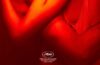 After ‘Raw’ and ‘Titane’, Julia Ducournau’s Next Movie Hits Theaters in Fall 2025