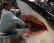 Deep Blue Sea director ditches sharks for orcas in upcoming ocean horror movie