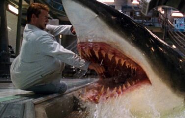 Deep Blue Sea director ditches sharks for orcas in upcoming ocean horror movie