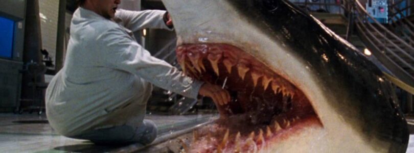 Deep Blue Sea director ditches sharks for orcas in upcoming ocean horror movie