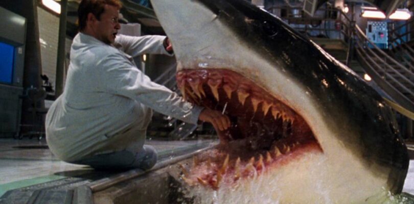 Deep Blue Sea director ditches sharks for orcas in upcoming ocean horror movie