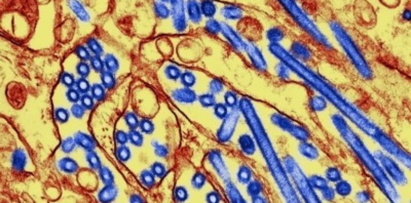 The Last of Us science adviser: COVID changed our appetite for zombies – Nature