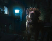 Good Boy: Shudder acquires haunted house movie told from the dog’s perspective – JoBlo