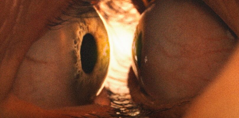 Upcoming horror movie from the studio behind Longlegs and The Monkey reveals weird and …
