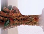 7 Great Horror Movies With Incredibly Messed Up Endings – ComicBook.com