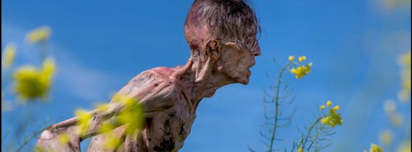 28 Years Later Early Rotten Tomatoes Score Sets Record – ComicBook.com