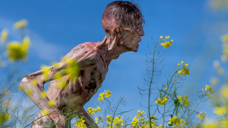 Angus Neill as an infected standing in the middle of a field of flowers in 28 Years Later
