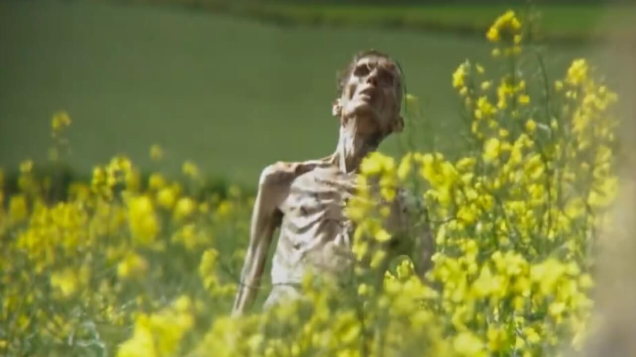 A zombie dying in 28 Years Later.