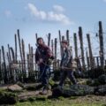 ’28 Years Later’ $5.8M, ‘Elio’ $3M Previews – Friday AM Box Office – Deadline