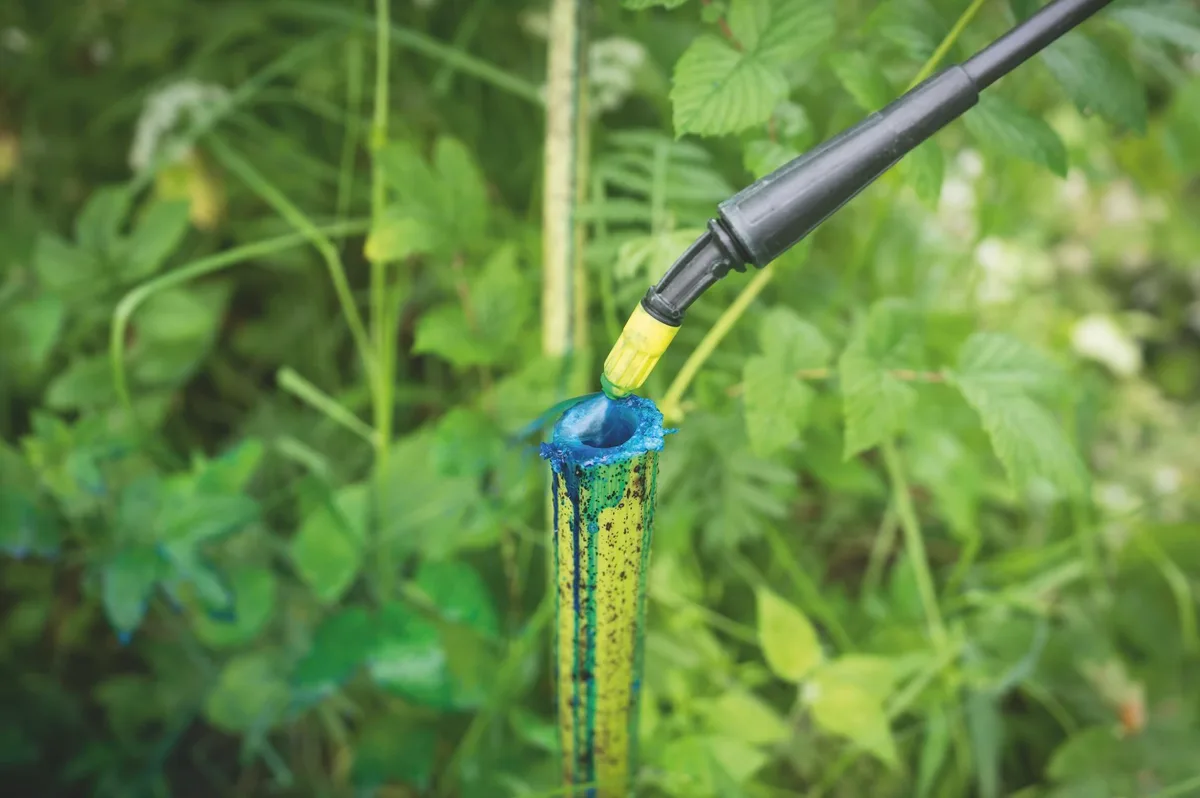 - Zombie Gaming Giant hogweed plant sprayed blue