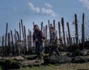 No One Makes A Zombie Movie Like Danny Boyle – Inverse