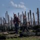 No One Makes A Zombie Movie Like Danny Boyle – Inverse
