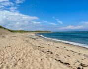 Where Was ’28 Years Later’ Filmed? Explore The Northeast Coast Of England, Minus The …