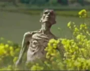Cillian Murphy’s true role in 28 Years Later is at risk and fans can help decide it – LADbible