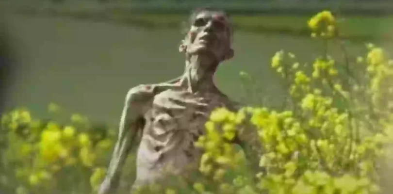 Cillian Murphy’s true role in 28 Years Later is at risk and fans can help decide it – LADbible