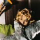 Three Hitchcock Thrillers Are the Origin Point for All Modern Psychological Horror – Inverse