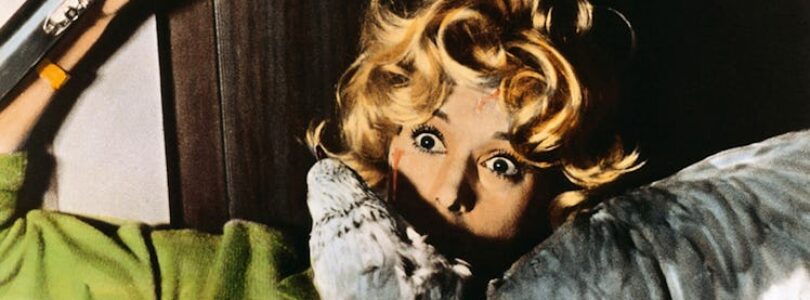 Three Hitchcock Thrillers Are the Origin Point for All Modern Psychological Horror – Inverse